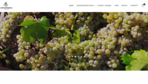 home winery ecommerce santa fosca